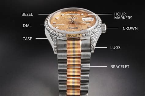 rolex watch anatomy|rolex watches.